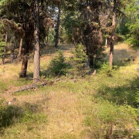 0 XXX Turner Lake Road N, Tonasket, WA 98855