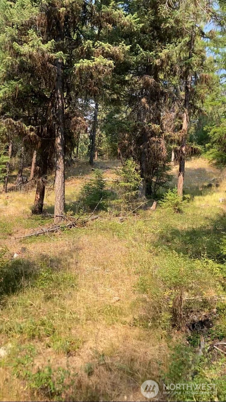 0 XXX Turner Lake Road N, Tonasket, WA 98855