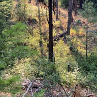 0 XXX Turner Lake Road N, Tonasket, WA 98855