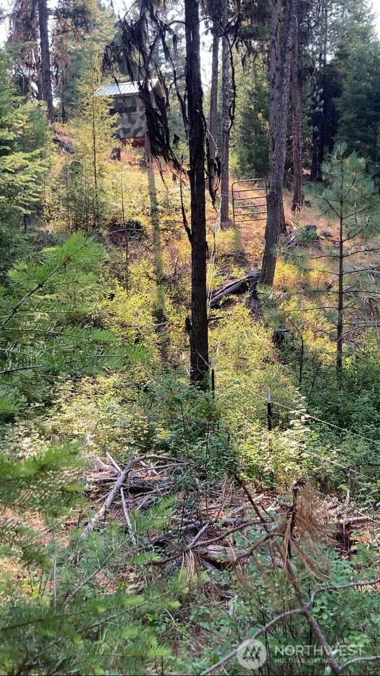 0 XXX Turner Lake Road N, Tonasket, WA 98855