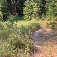 0 XXX Turner Lake Road N, Tonasket, WA 98855