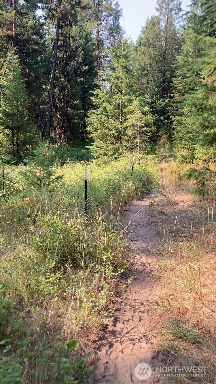 0 XXX Turner Lake Road N, Tonasket, WA 98855