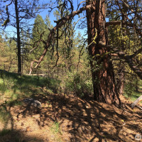 0 XXX Turner Lake Road N, Tonasket, WA 98855