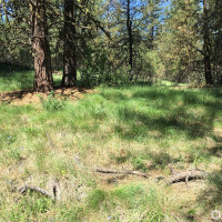 0 XXX Turner Lake Road N, Tonasket, WA 98855