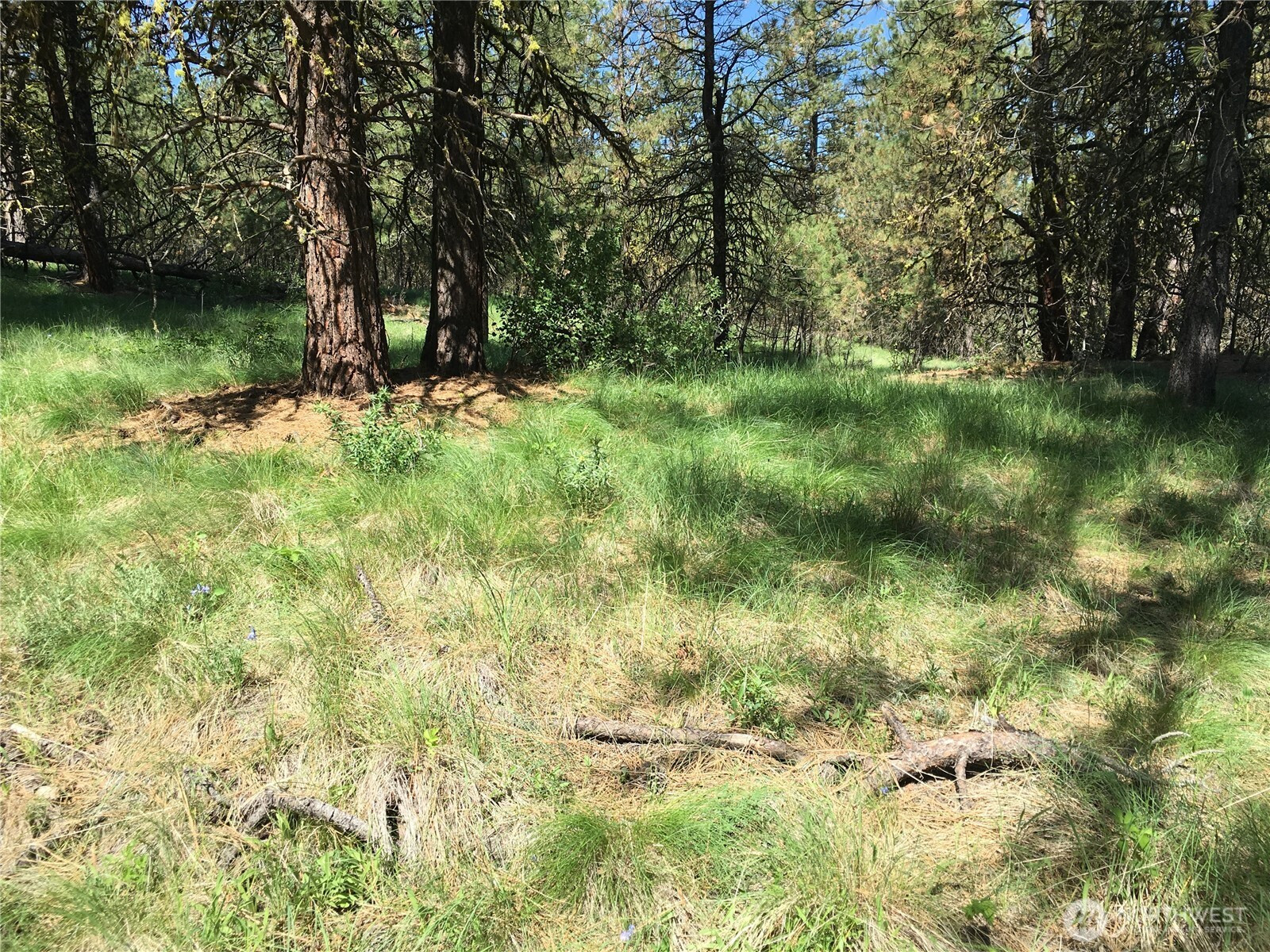 0 XXX Turner Lake Road N, Tonasket, WA 98855