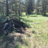 0 XXX Turner Lake Road N, Tonasket, WA 98855