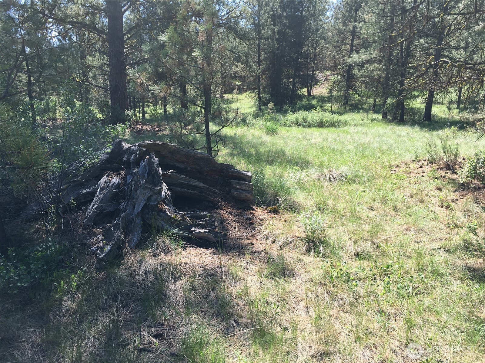 0 XXX Turner Lake Road N, Tonasket, WA 98855