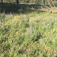 0 XXX Turner Lake Road N, Tonasket, WA 98855