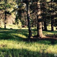 0 XXX Turner Lake Road N, Tonasket, WA 98855