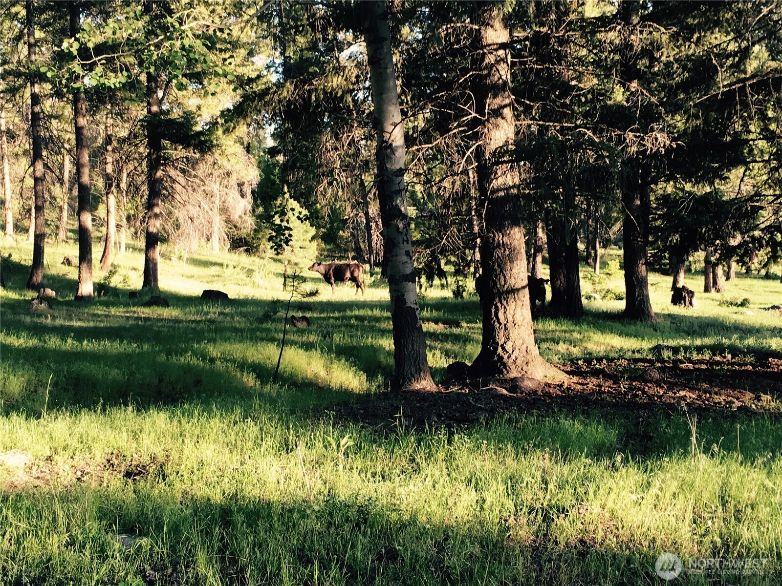 0 XXX Turner Lake Road N, Tonasket, WA 98855