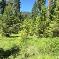 0 XXX Turner Lake Road N, Tonasket, WA 98855