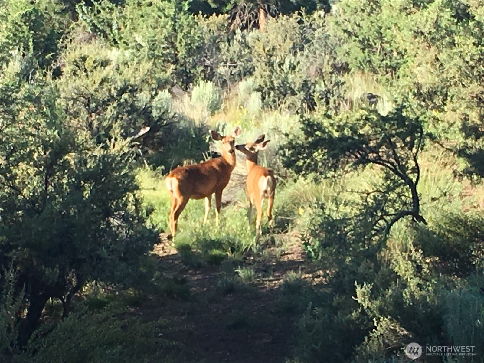 0 XXX Turner Lake Road N, Tonasket, WA 98855