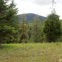 0 XXX Turner Lake Road N, Tonasket, WA 98855