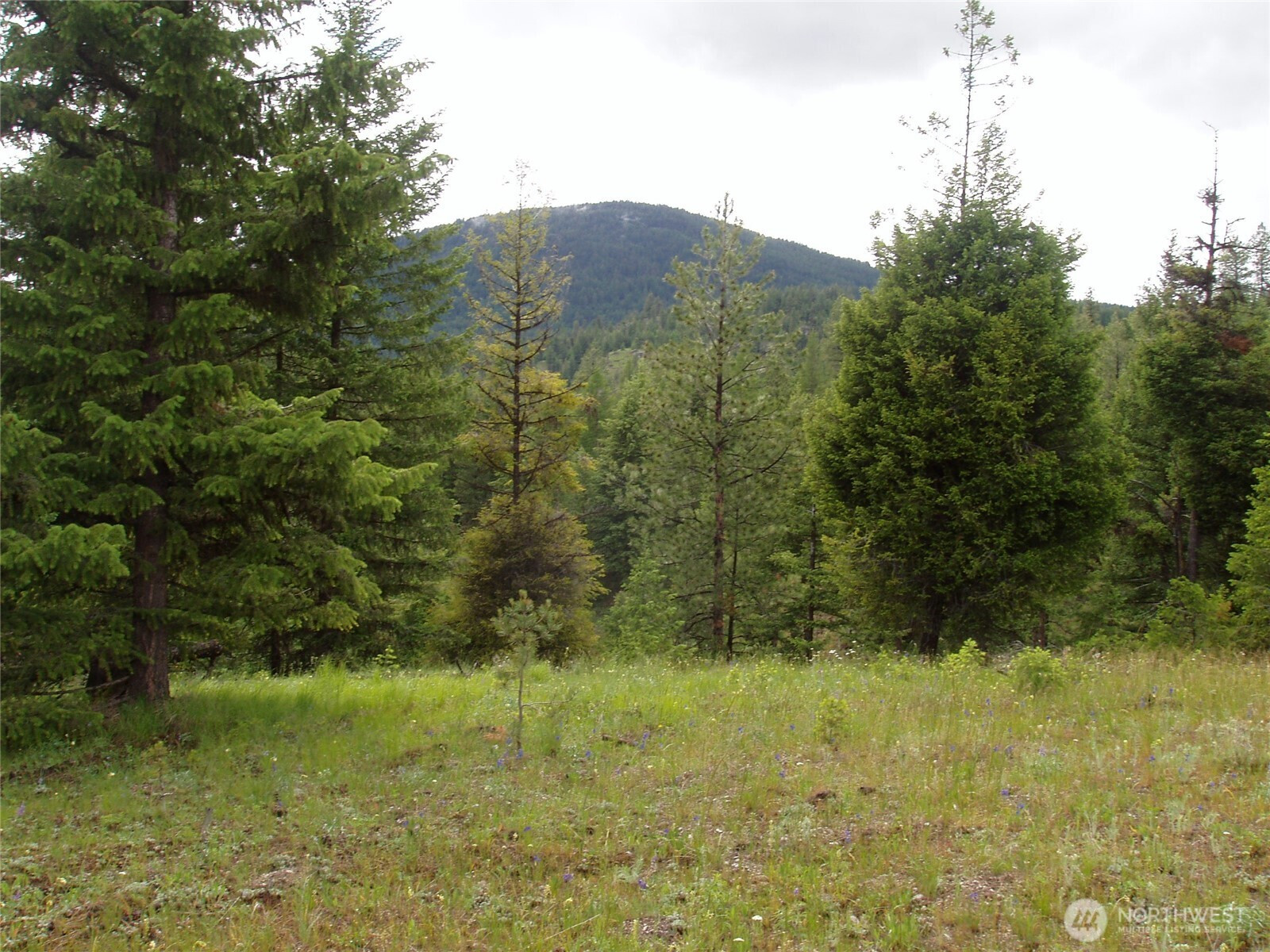 0 XXX Turner Lake Road N, Tonasket, WA 98855