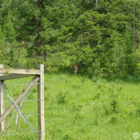 0 XXX Turner Lake Road N, Tonasket, WA 98855