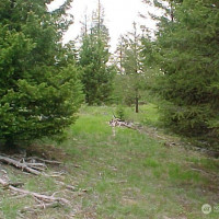 0 XXX Turner Lake Road N, Tonasket, WA 98855