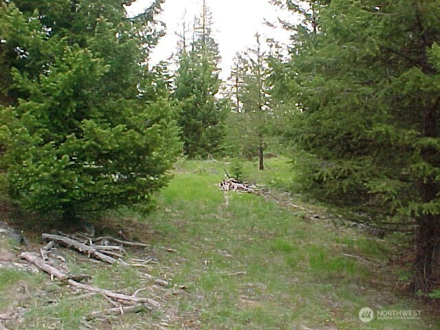 0 XXX Turner Lake Road N, Tonasket, WA 98855