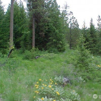 0 XXX Turner Lake Road N, Tonasket, WA 98855