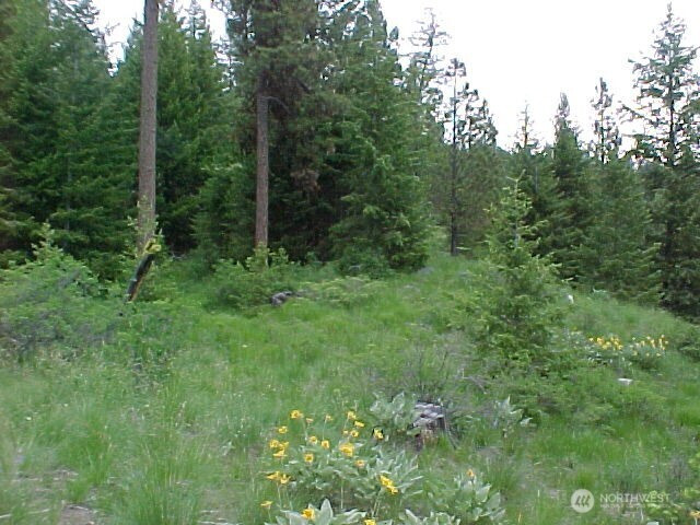 0 XXX Turner Lake Road N, Tonasket, WA 98855