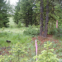 0 XXX Turner Lake Road N, Tonasket, WA 98855