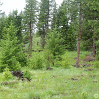 0 XXX Turner Lake Road N, Tonasket, WA 98855