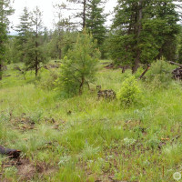 0 XXX Turner Lake Road N, Tonasket, WA 98855