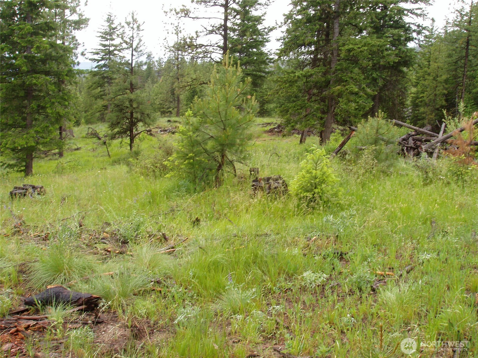 0 XXX Turner Lake Road N, Tonasket, WA 98855