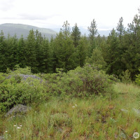 0 XXX Turner Lake Road N, Tonasket, WA 98855