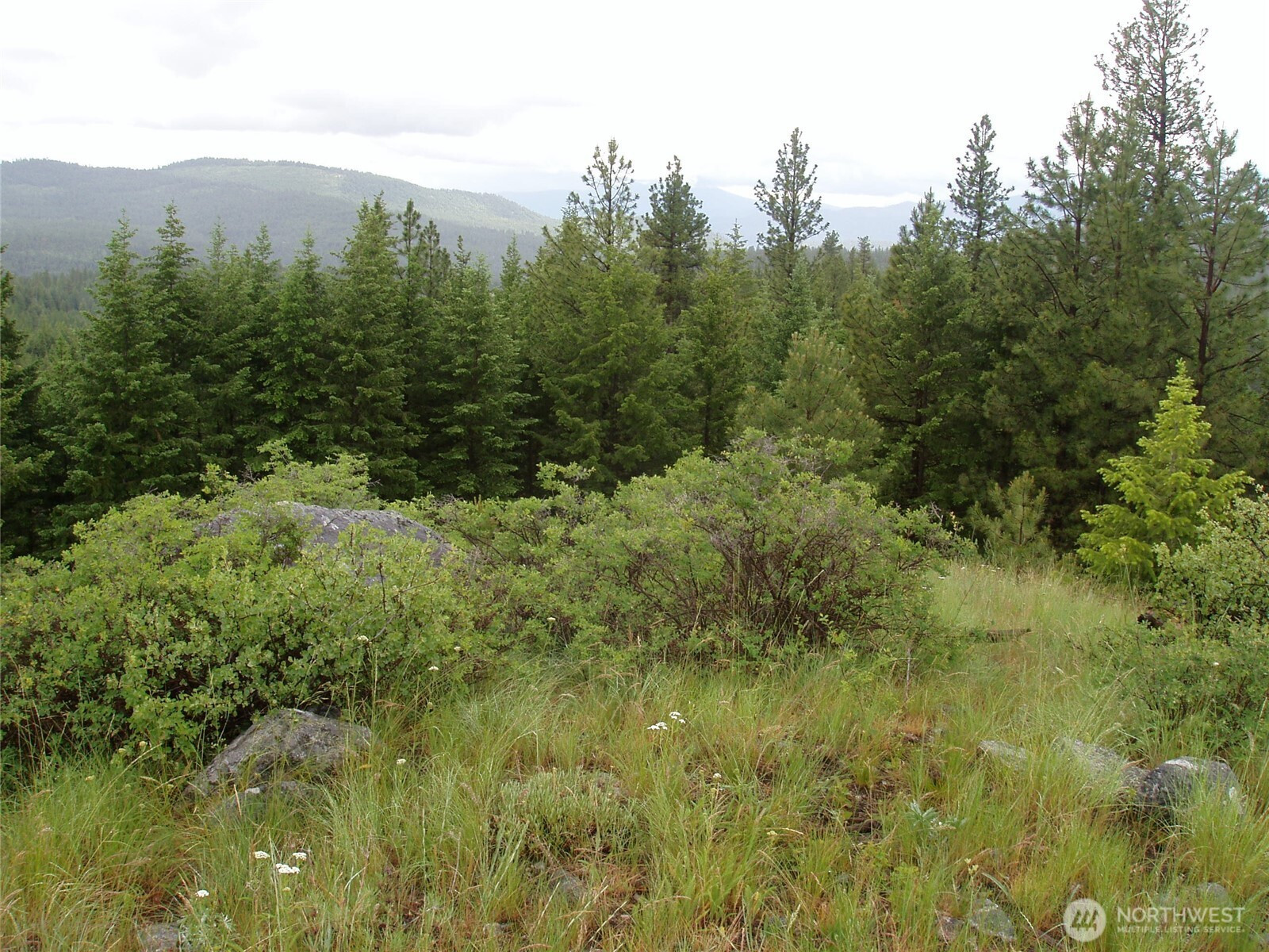 0 XXX Turner Lake Road N, Tonasket, WA 98855