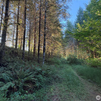 0 NKA Frank Smith Road, Toutle, WA 98649