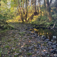 0 NKA Frank Smith Road, Toutle, WA 98649