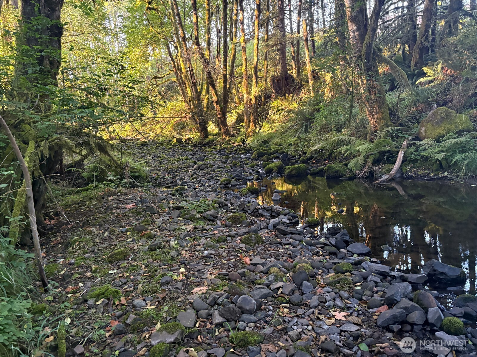 0 NKA Frank Smith Road, Toutle, WA 98649