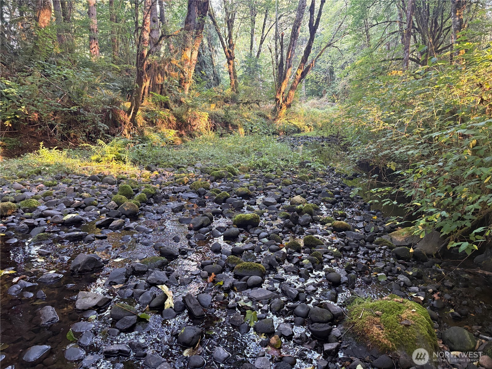 0 NKA Frank Smith Road, Toutle, WA 98649