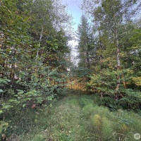 0 NKA Frank Smith Road, Toutle, WA 98649