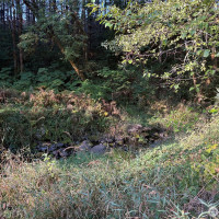 0 NKA Frank Smith Road, Toutle, WA 98649