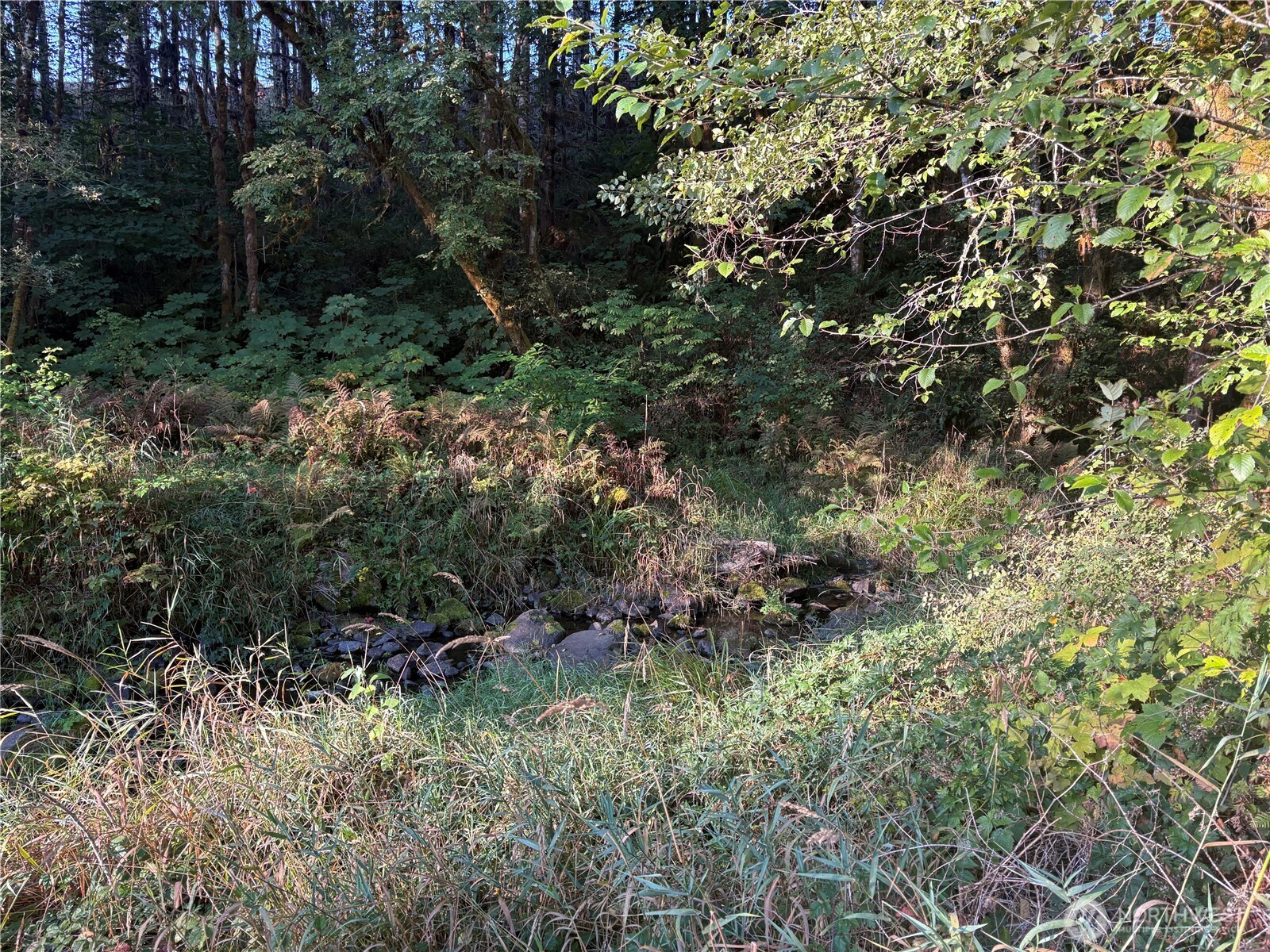 0 NKA Frank Smith Road, Toutle, WA 98649