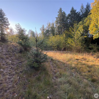 0 NKA Frank Smith Road, Toutle, WA 98649