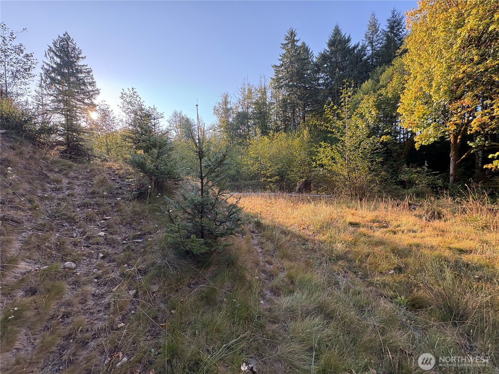 0 NKA Frank Smith Road, Toutle, WA 98649