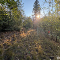 0 NKA Frank Smith Road, Toutle, WA 98649