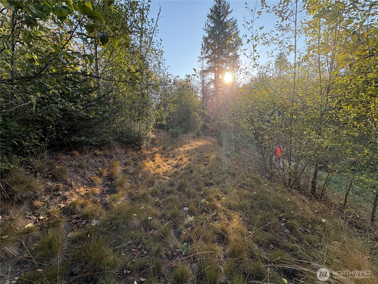 0 NKA Frank Smith Road, Toutle, WA 98649