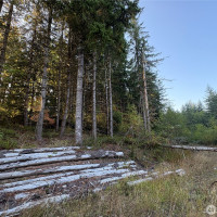 0 NKA Frank Smith Road, Toutle, WA 98649
