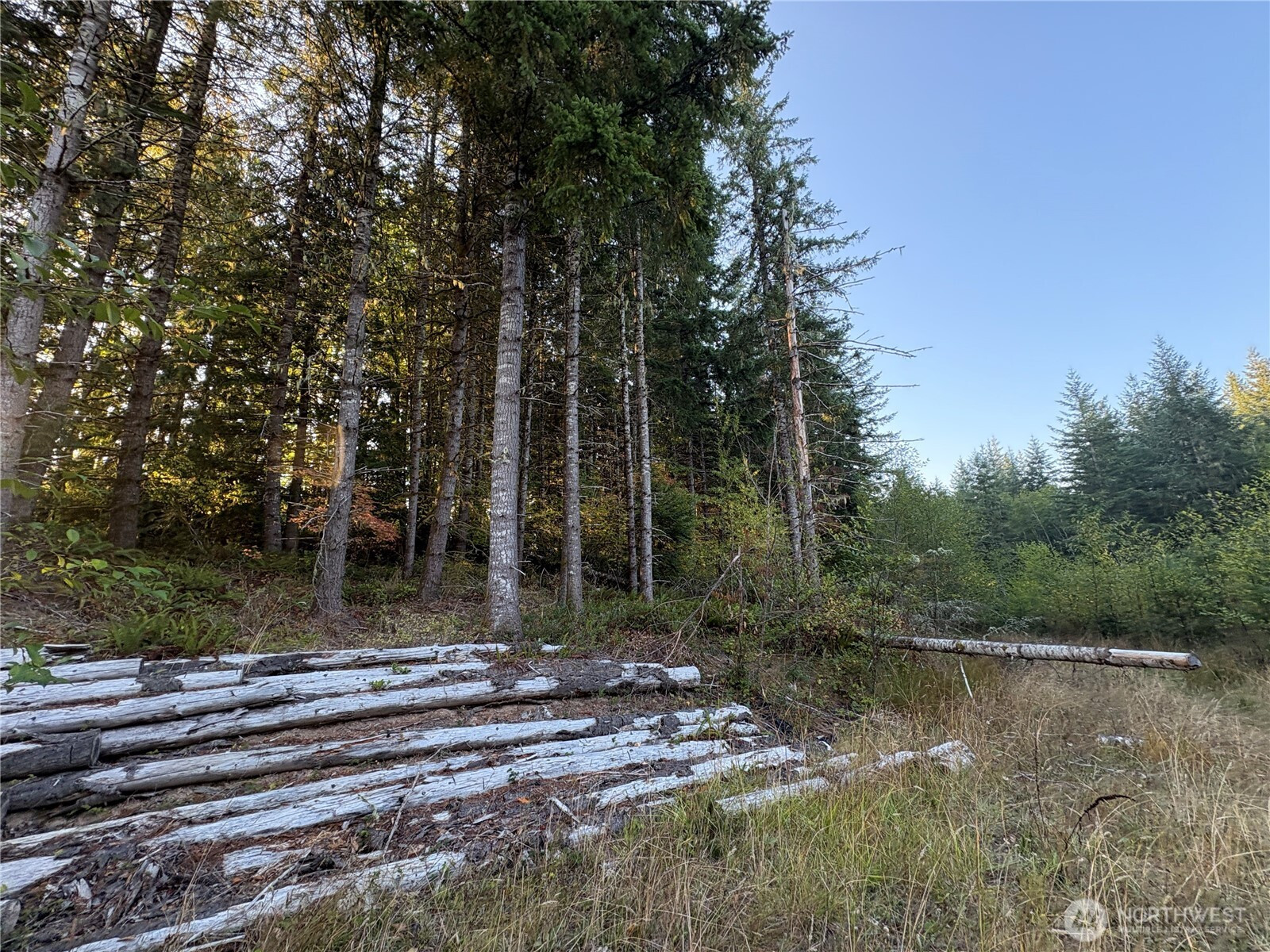 0 NKA Frank Smith Road, Toutle, WA 98649