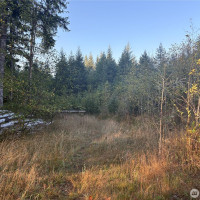 0 NKA Frank Smith Road, Toutle, WA 98649
