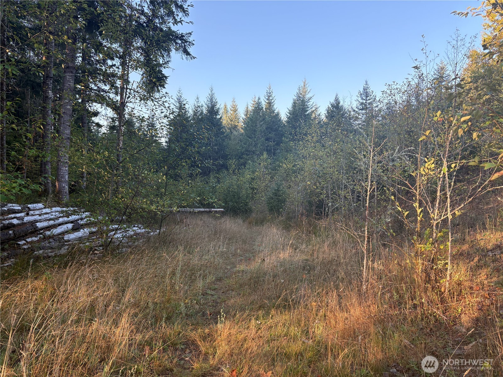 0 NKA Frank Smith Road, Toutle, WA 98649