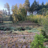 0 NKA Frank Smith Road, Toutle, WA 98649