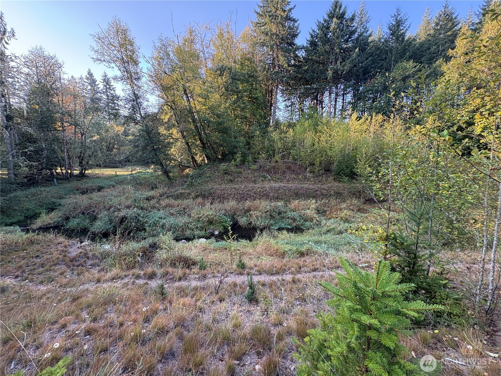 0 NKA Frank Smith Road, Toutle, WA 98649