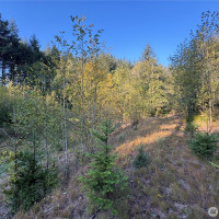 0 NKA Frank Smith Road, Toutle, WA 98649