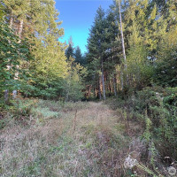 0 NKA Frank Smith Road, Toutle, WA 98649