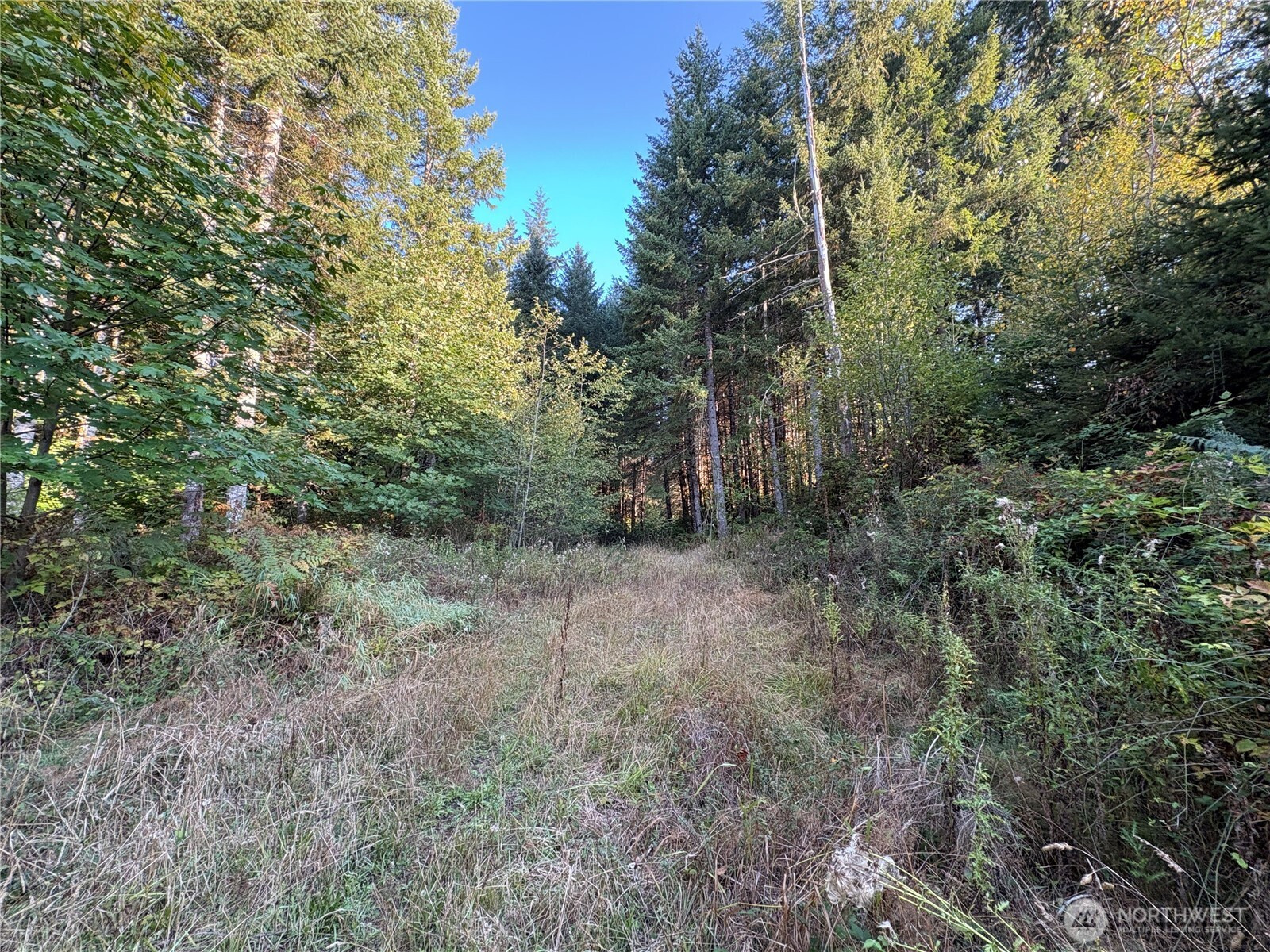 0 NKA Frank Smith Road, Toutle, WA 98649