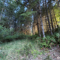 0 NKA Frank Smith Road, Toutle, WA 98649